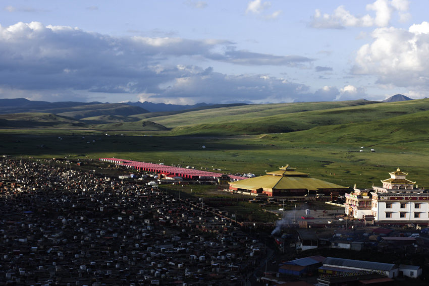 dsc_2219.jpg
