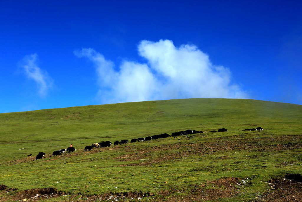 083a2295.jpg