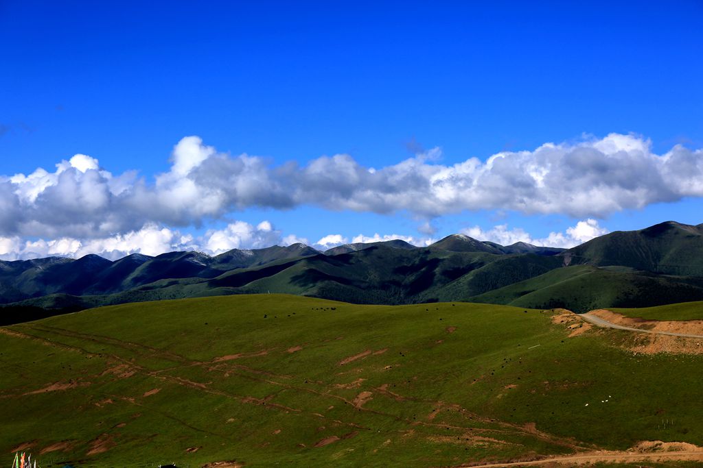 083a2309.jpg