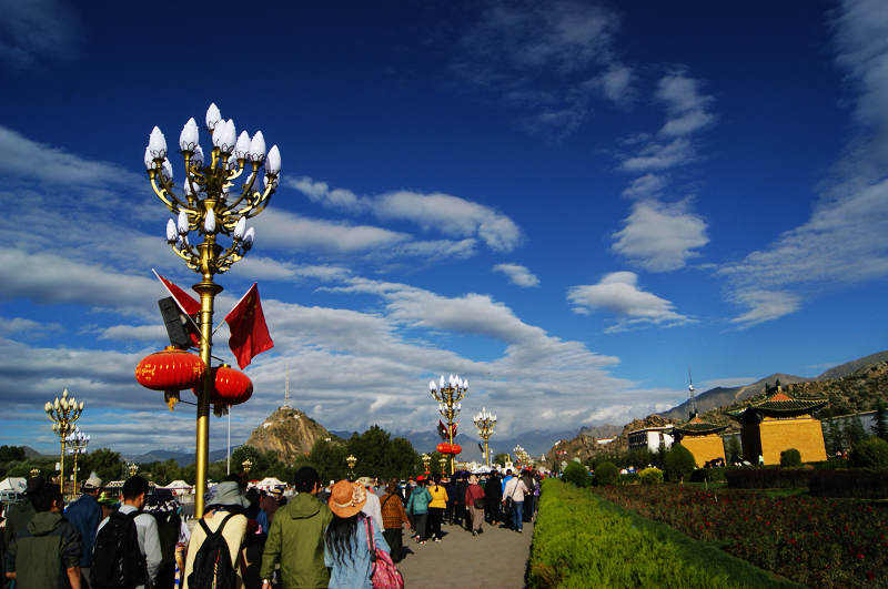 dsc03470.jpg