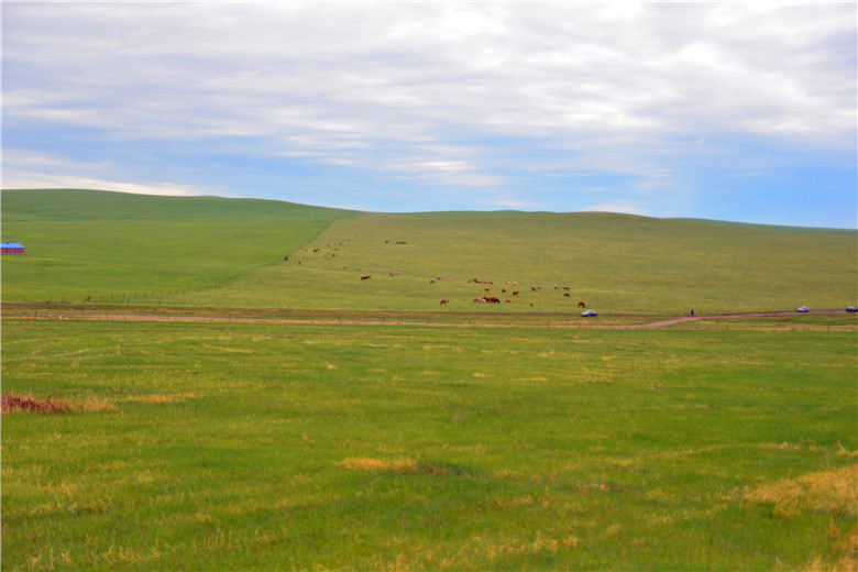 dsc_4046.jpg