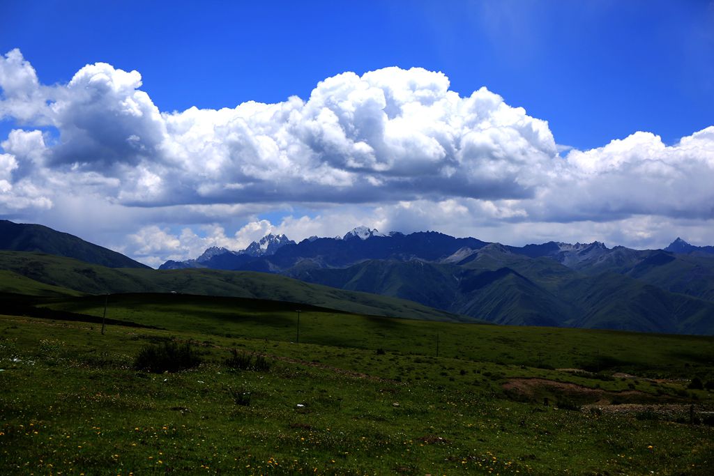 083a2556.jpg
