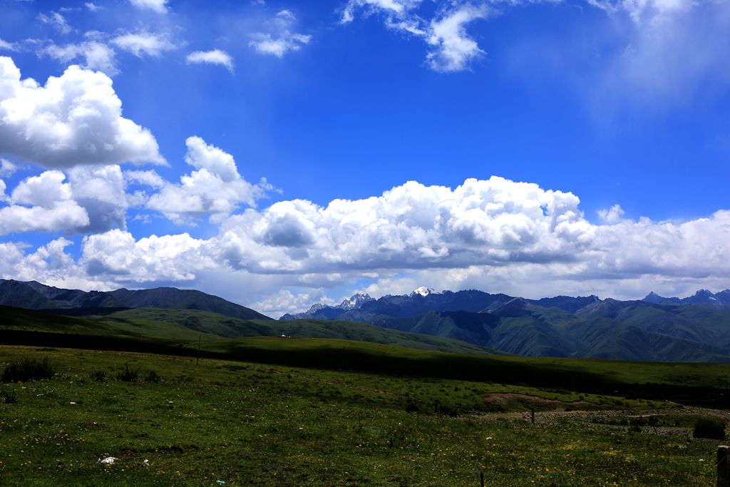 083a2548.jpg