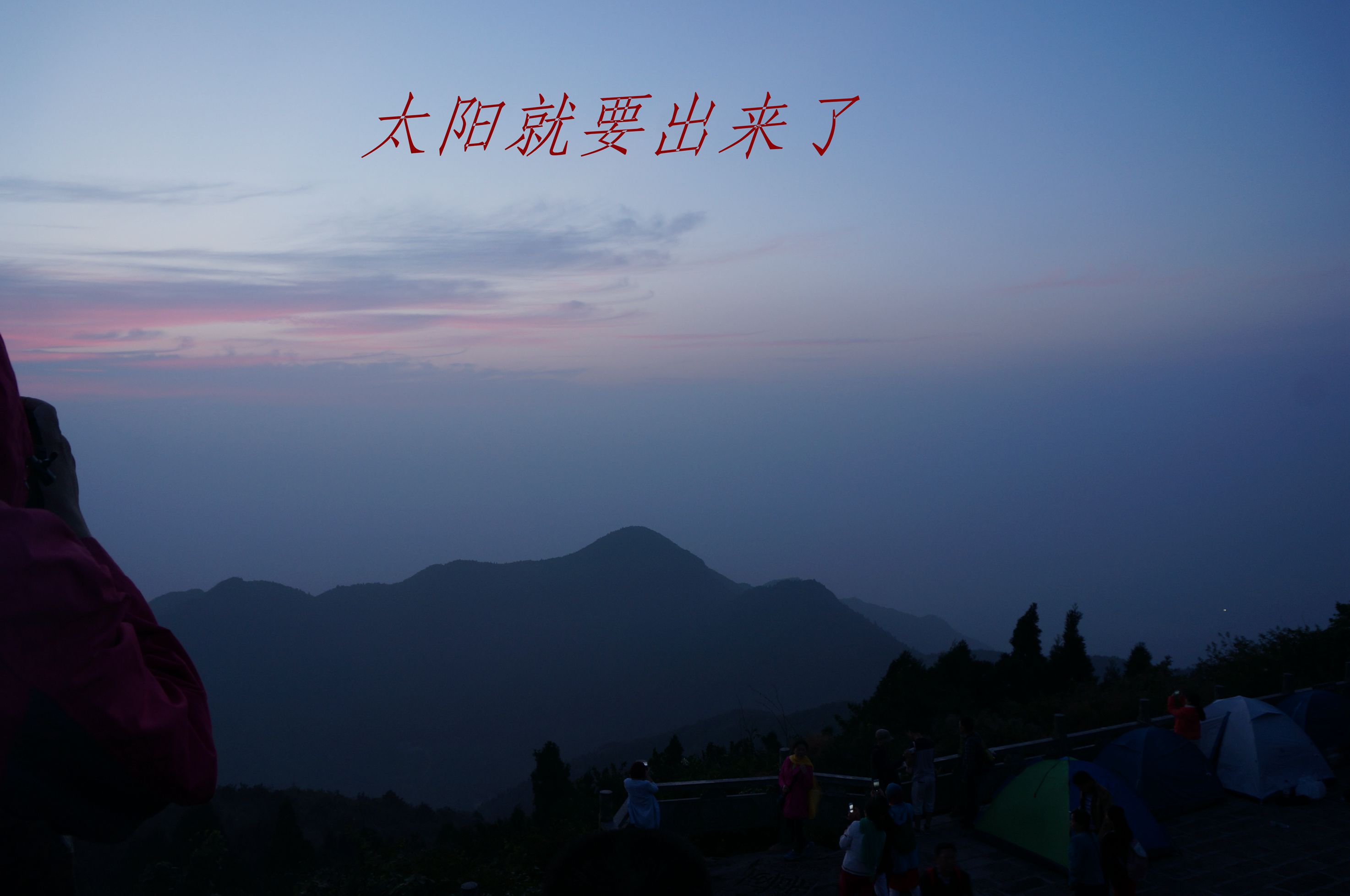 dsc03720_.jpg