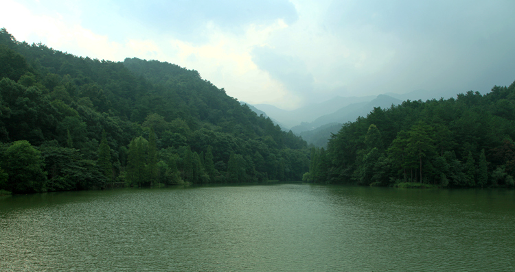 img_2590_.jpg