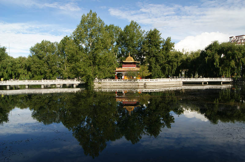 05.jpg