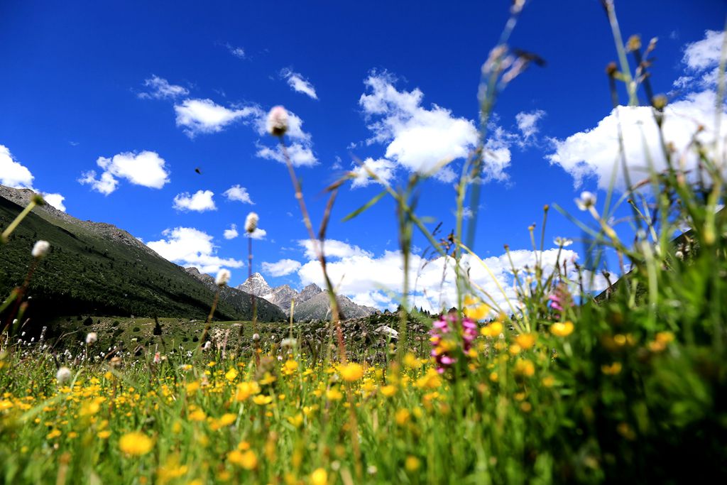 083a2830.jpg