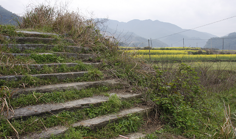 qqͼƬ20150920121147.png