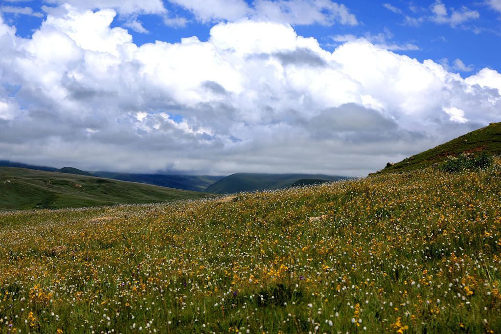 083a3456.jpg
