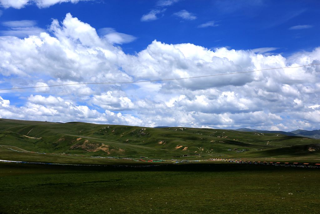 083a3457.jpg