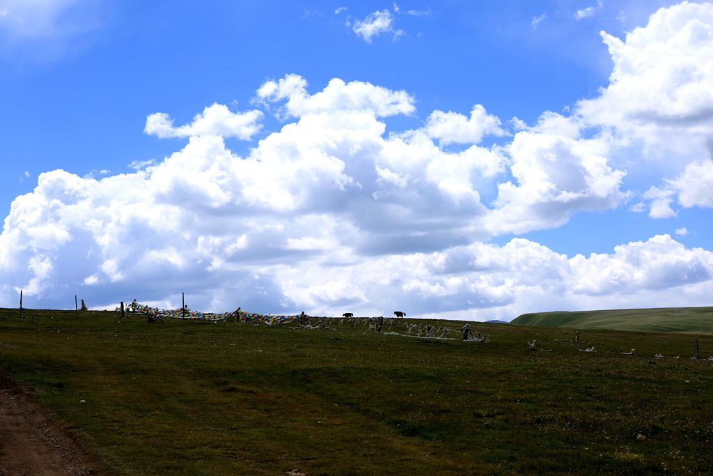 083a3475.jpg