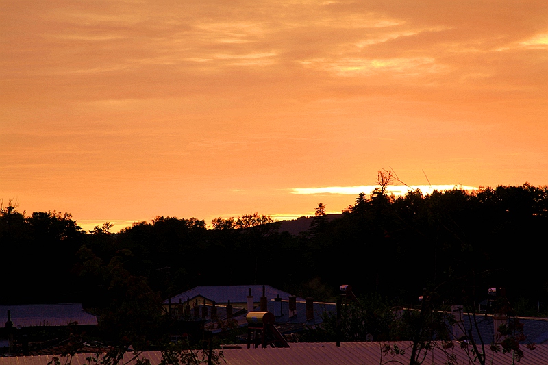 _mg_6994.jpg