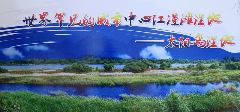 _mg_9686.jpg
