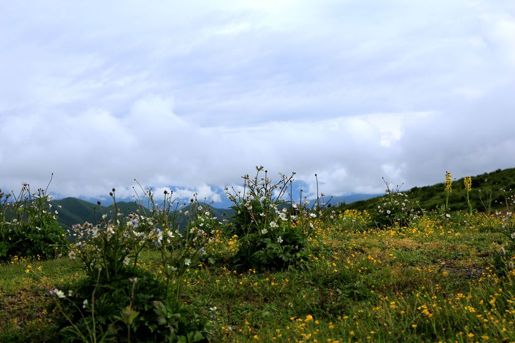 083a0725.jpg