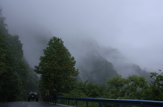 qqͼƬ20150902183814.png