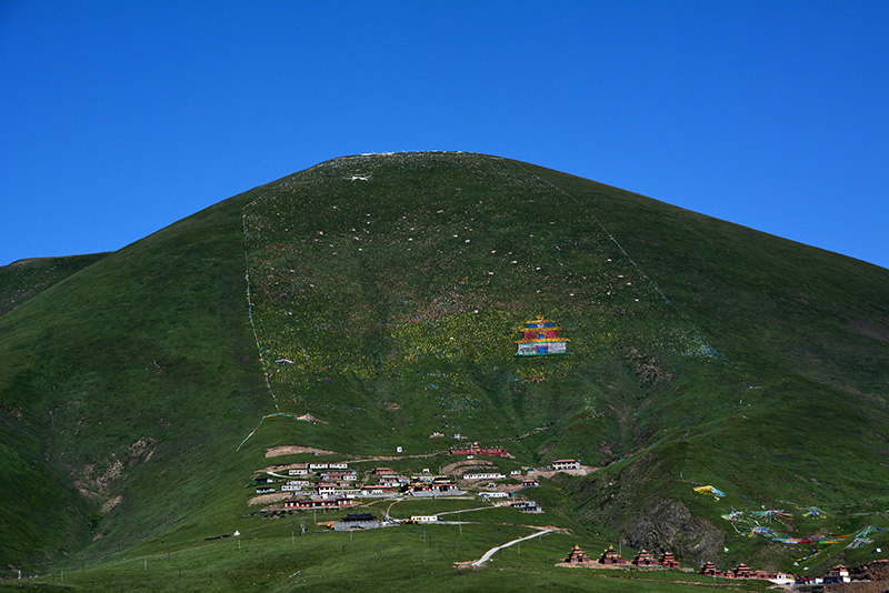 dsc_0197a.jpg