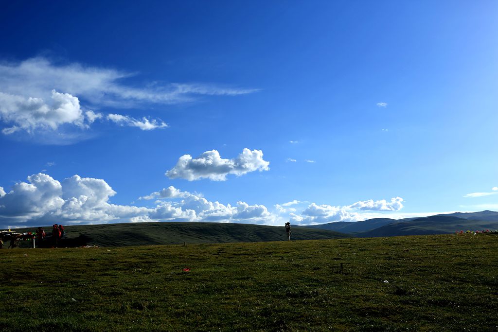 083a3950.jpg