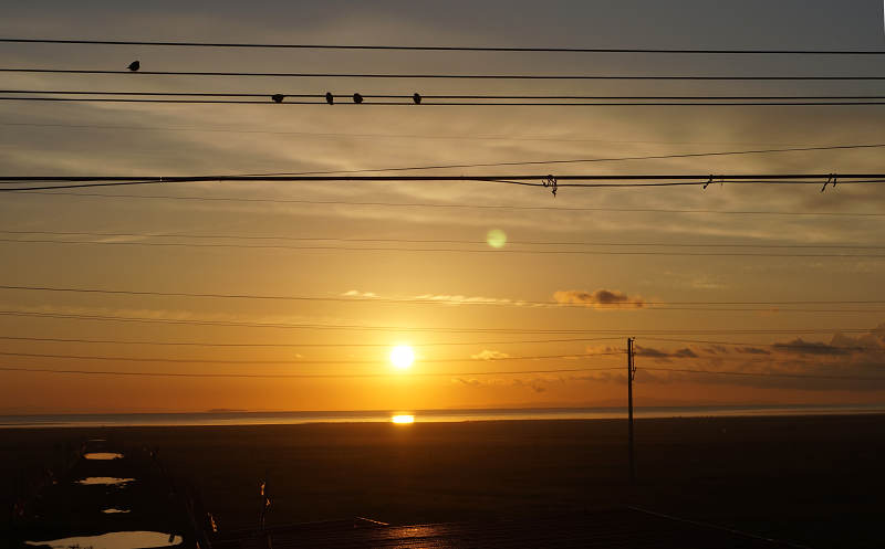 dsc08309.jpg