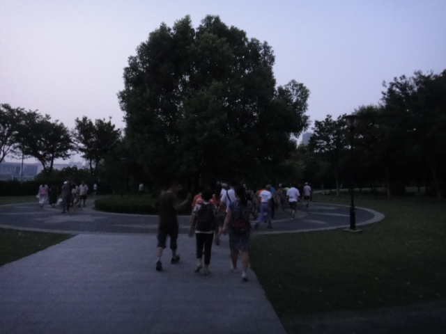 dsc07386.jpg