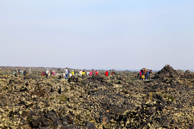_mg_1277.jpg