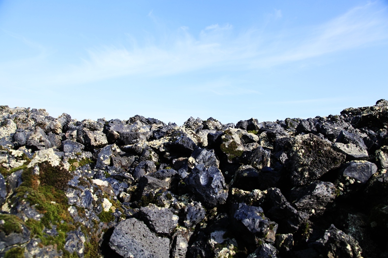 _mg_1285.jpg