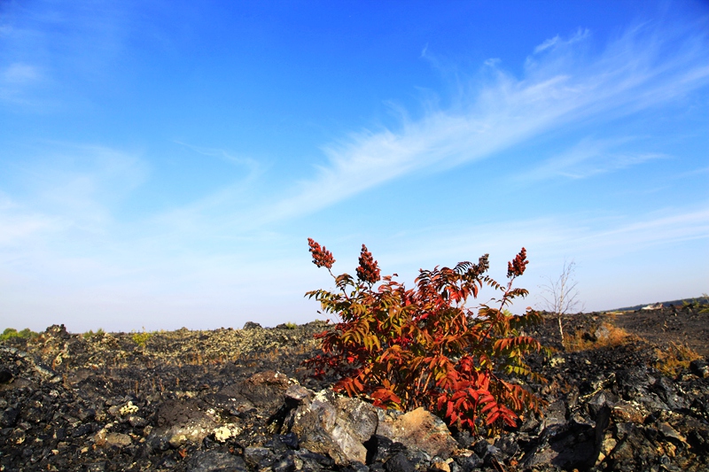 _mg_1288.jpg