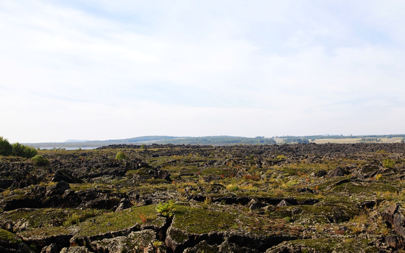 _mg_1345.jpg