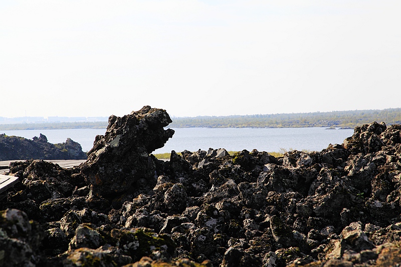 _mg_1363.jpg
