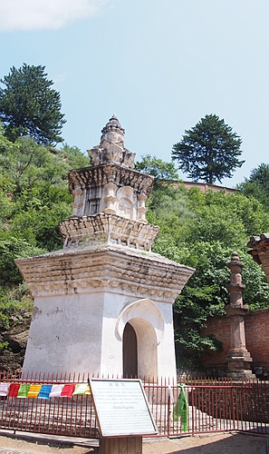 p1011031.jpg