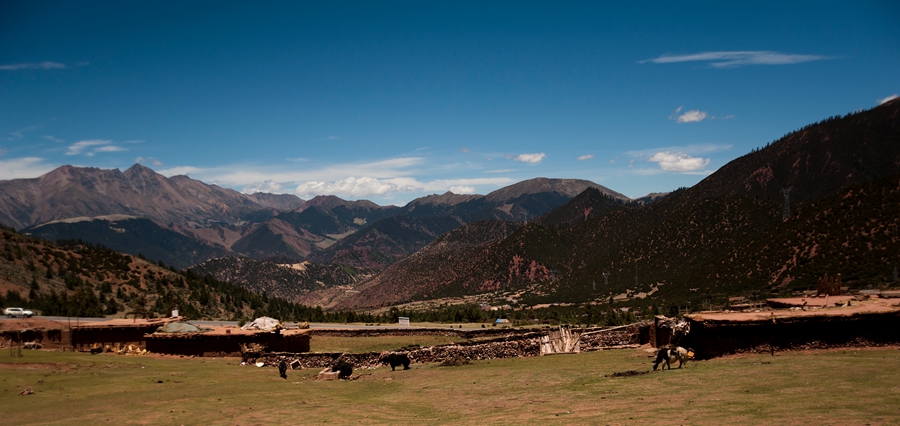_dsc3394.jpg