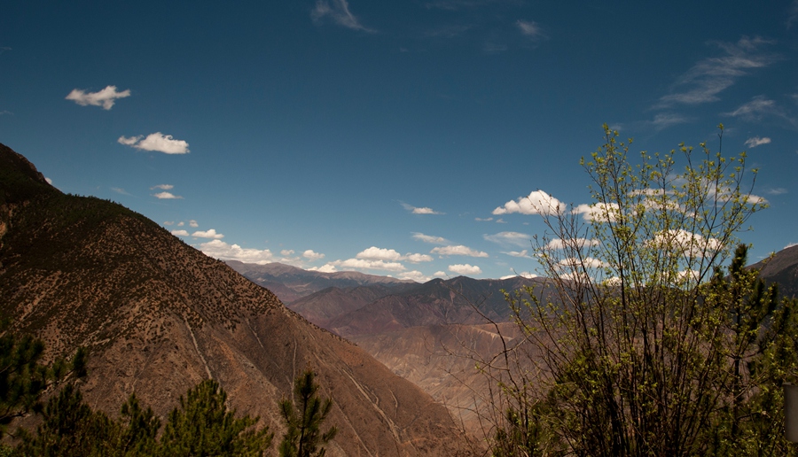 _dsc3452.jpg