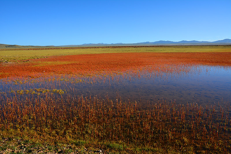 dsc_0536a.jpg