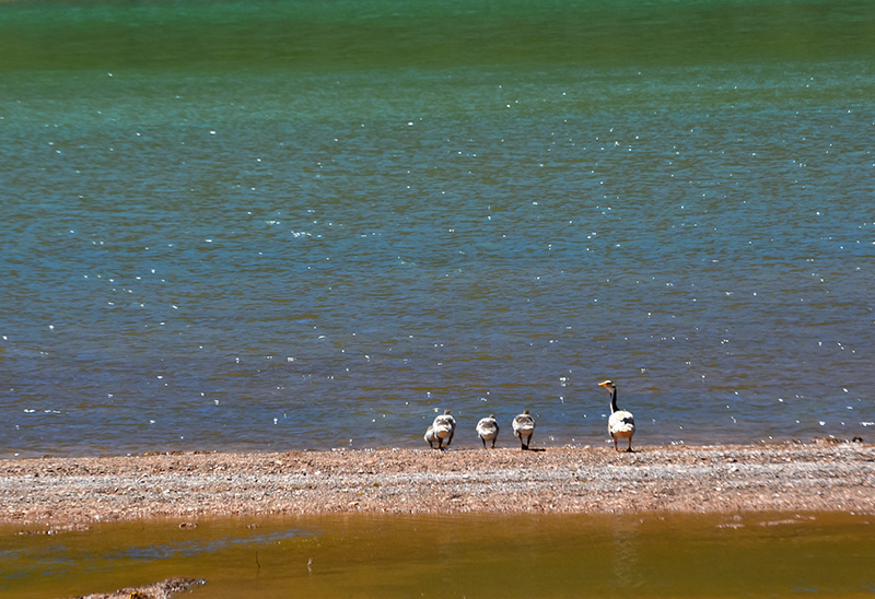 dsc_0754a.jpg