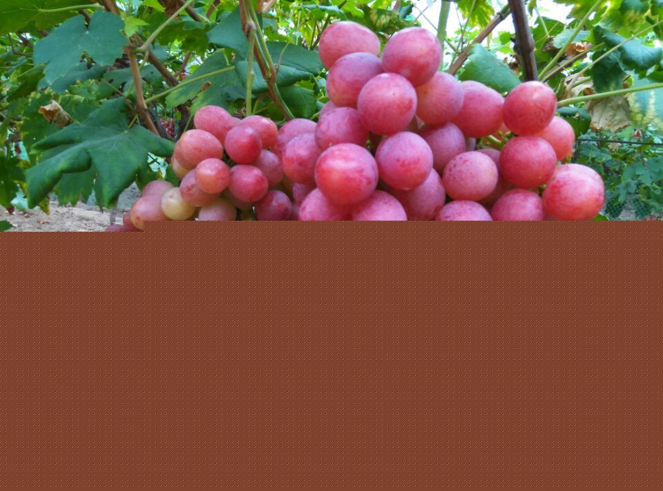 qqͼƬ20150907201205.jpg