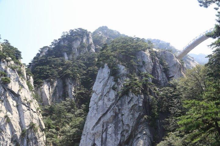 06.jpg
