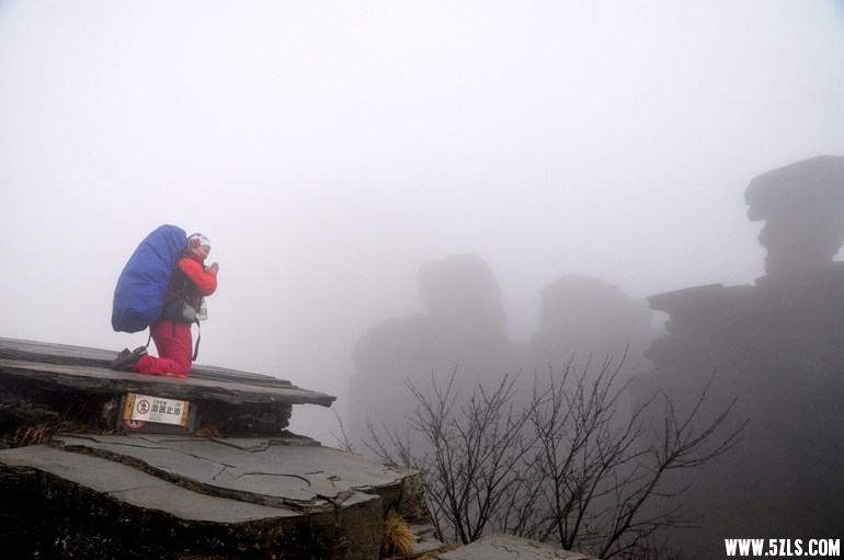 DSC_0503.JPG
