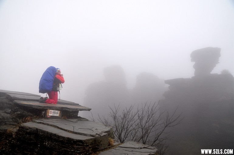 DSC_0504.JPG