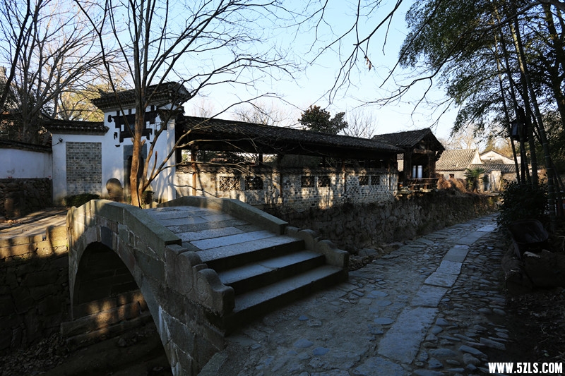 AW6A4482_.jpg