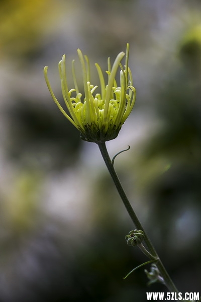 “3C1A6318”为智能对象-1 (2)_调整大小.jpg