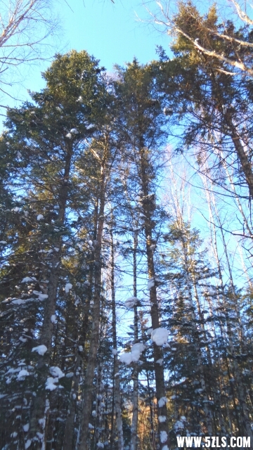 114915rjyyplpzioii87yc.jpg
