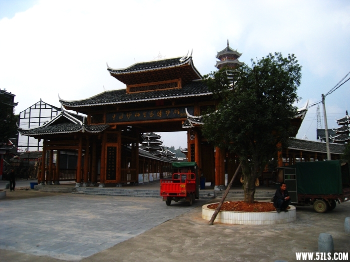 IMG_5240.JPG