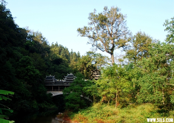 DSC_5094.JPG