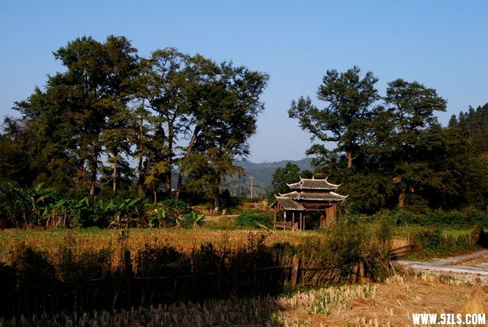 DSC_5106.JPG