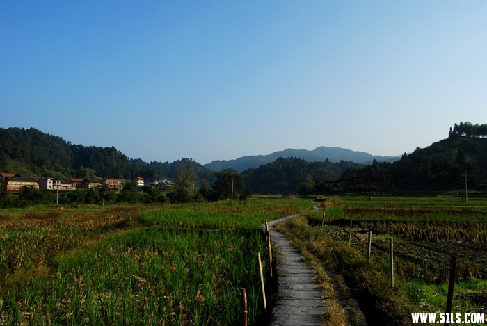 DSC_5115.JPG