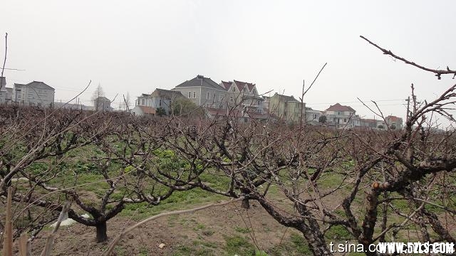 201131312103334414.jpg