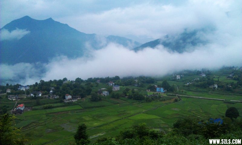 2013727454316131.jpg