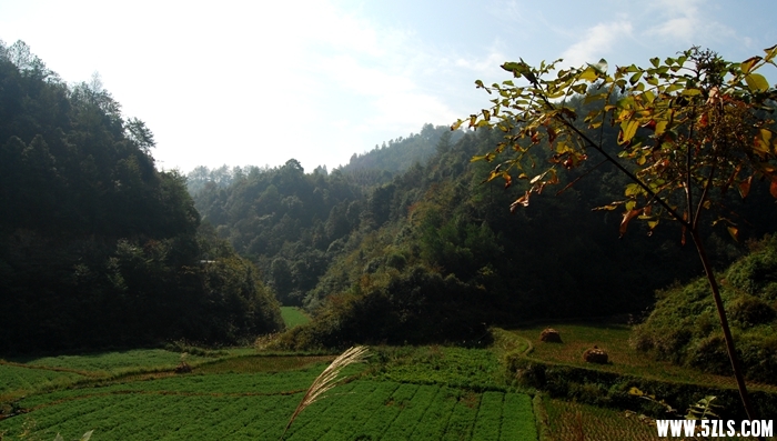 DSC_5223.JPG