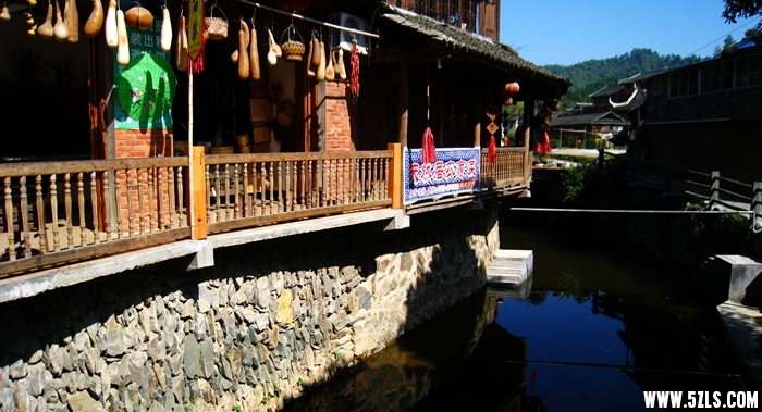 IMG_5390.JPG