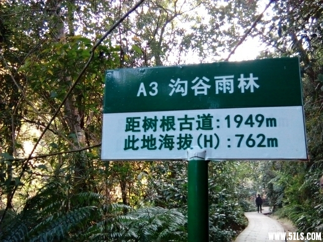 222532cb6a6iyei66qahiy.jpg