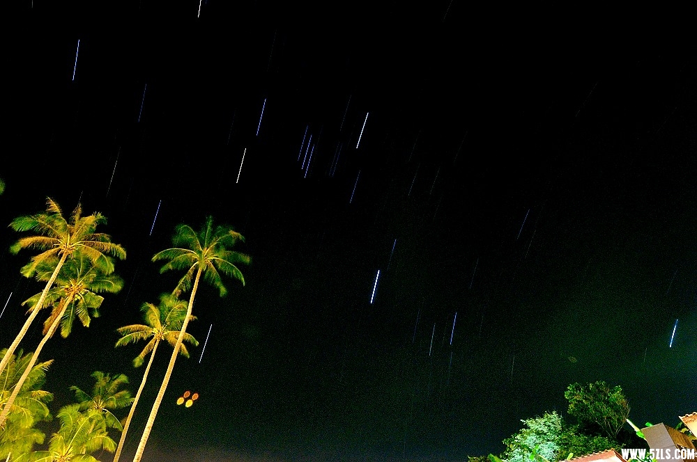 DSC_0056_01.JPG